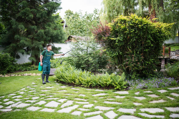 Best Pest Prevention Services  in Rochester, NH