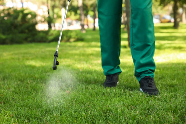Best Wildlife Control Services  in Rochester, NH