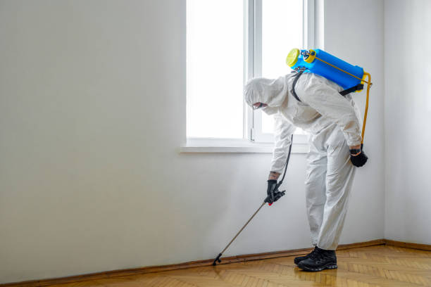 Best Pest Inspection Near Me  in Rochester, NH