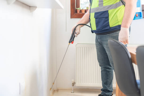 Best Pest Removal Services  in Rochester, NH