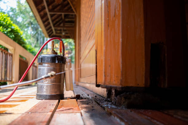 Best Cockroach Control Services  in Rochester, NH