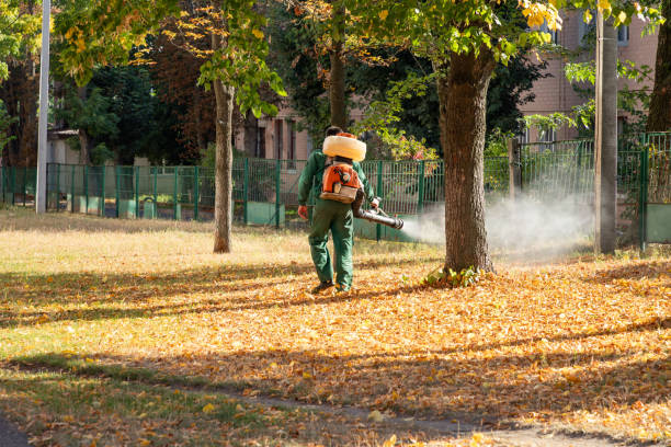 Best Pest Control Near Me in Rochester, NH