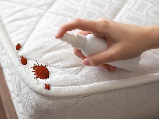 Best Pest Prevention Services  in Rochester, NH