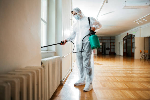 Best Flea Control Services  in Rochester, NH